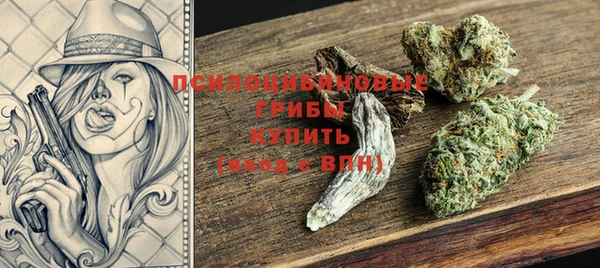 бошки Нестеровская